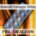 Sildenafil Kamagra 100Mg viagra3